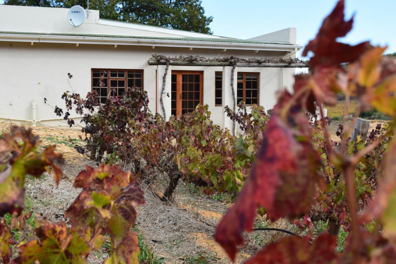 Vredehoek Guest Farm Breerivier ภายนอก รูปภาพ